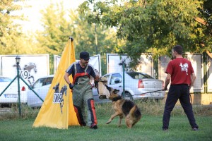 Köpek_Eğitimi